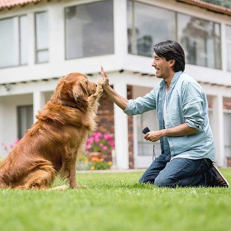 【HOT SALE-48%OFF🔥🔥🔥🔥🔥】🐶Ultrasound Dog Repeller