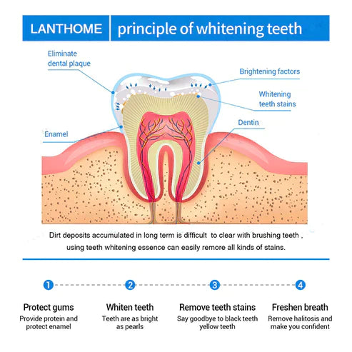 TEETH WHITENING ESSENCE（Buy 1 Free 1）